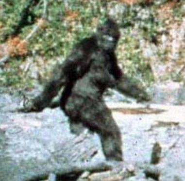 Bigfoot