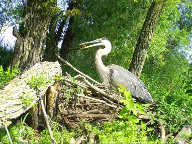 M2E73L212-212R399B404