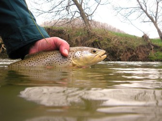 Anderson Photo4 (1024)