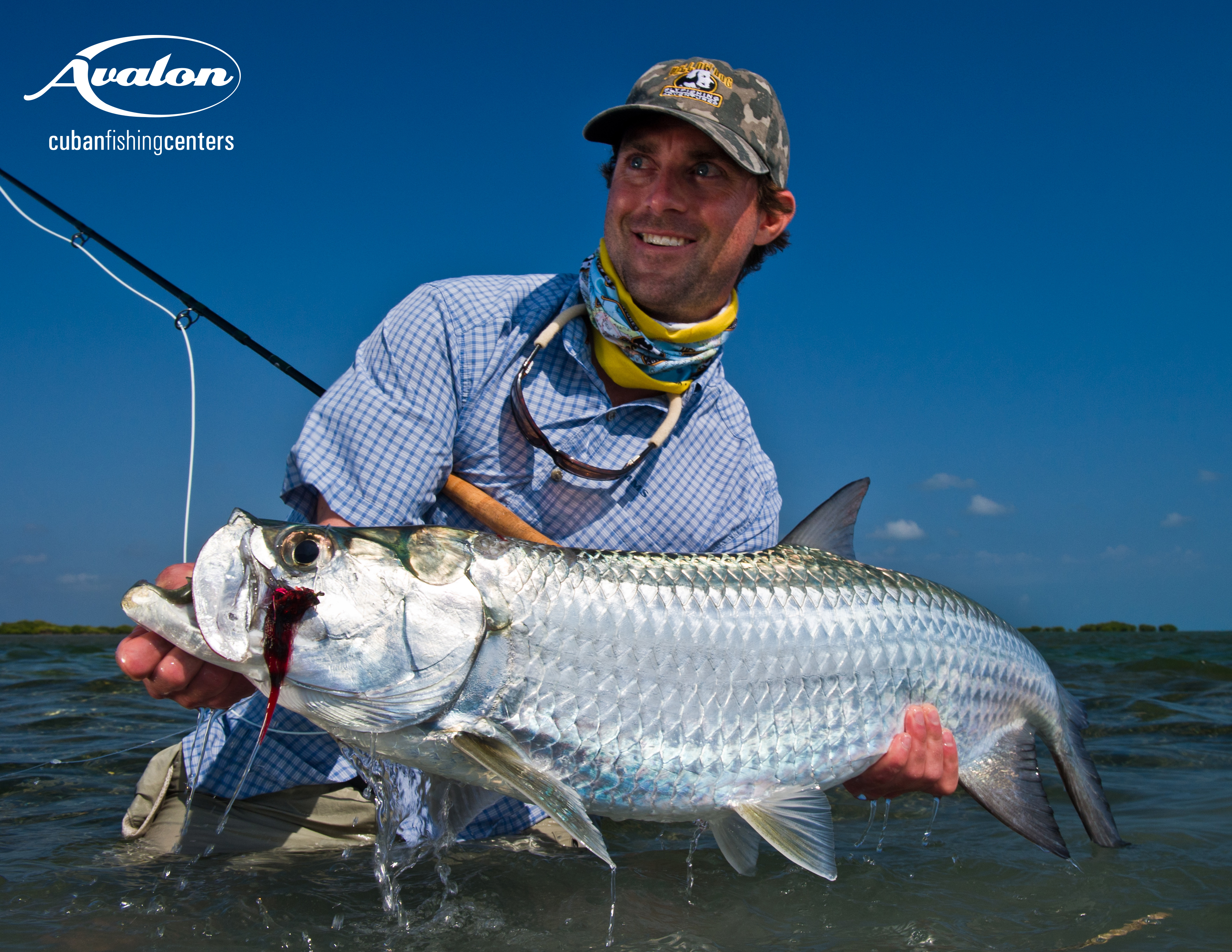 2019 09 Sept tarpon-004