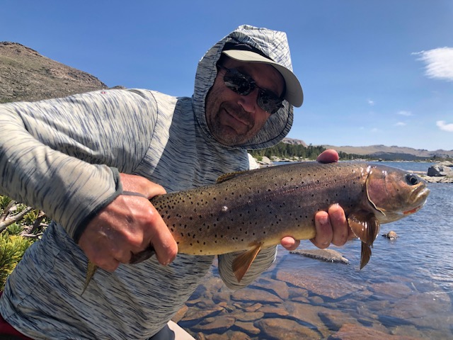 2020 11 Nov - Don W. picture image0