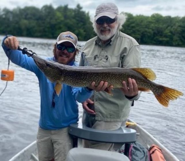 2020 11 Nov - Gene picture 6042b